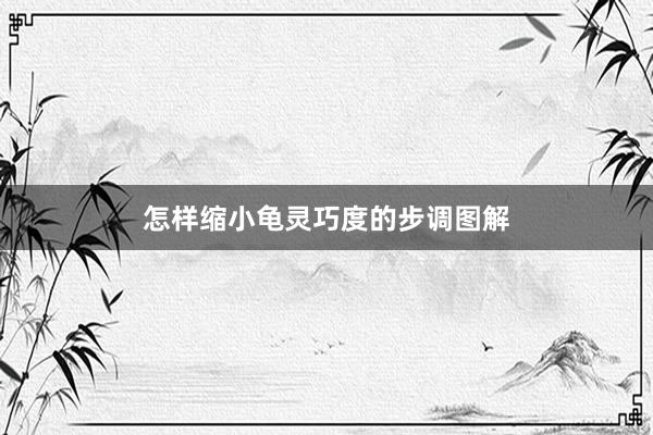 怎样缩小龟灵巧度的步调图解